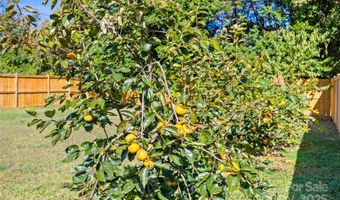 2553 Elkwood Cir, Charlotte, NC 28205