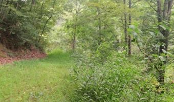 43 Sanctuary Ln, Alderson, WV 24910