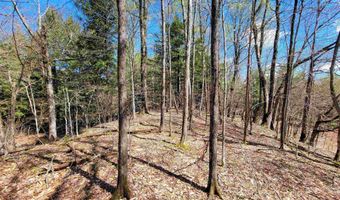 667 Cemetery St, Brookfield, VT 05036