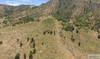 Swenson Valley Rd, Bancroft, ID 83217