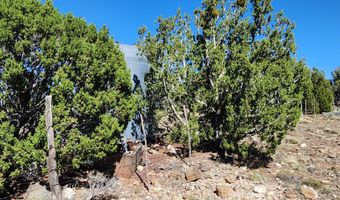 85 N 8522, Concho, AZ 85924