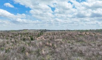 919 County Road 6628, Banks, AL 36005