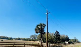 010 County Road 340, Bell, FL 32619