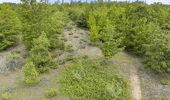 5343 LAKEVIEW, Alanson, MI 49706