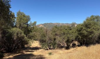 41902 Woodward Way, Ahwahnee, CA 93601