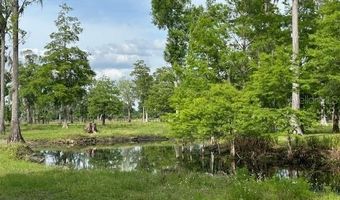 Tbd CORKWOOD LANE, Astatula, FL 34705