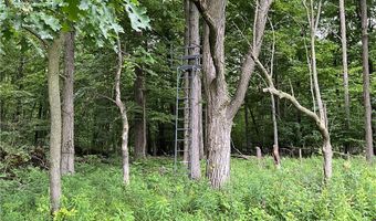 W Barre Road, Albion, NY 14411