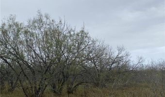 212 CR 2101, Alice, TX 78332