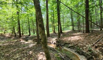 Tbd NE Bahalia Road, Brookhaven, MS 39601