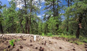 1497 Pine Ridge Dr, Cascade, ID 83611