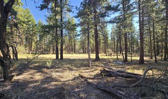 12174 Night Owl Dr, Bonanza, OR 97623
