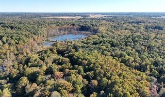 Perry Chapel Road, Ashland, MS 38603