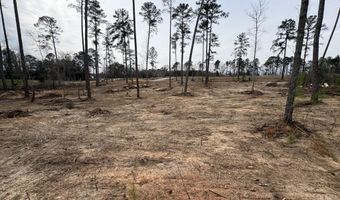 5672 White Oak Rd, Appling, GA 30802
