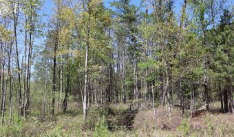 La Grant Road, Alger, MI 48610