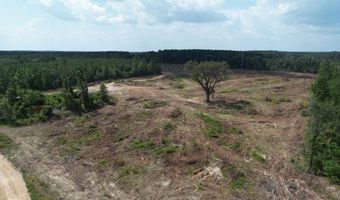 SE Cole Drive, Bogue Chitto, MS 39629