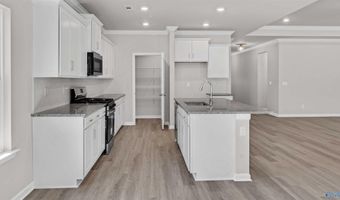 23292 Worchester Ln, Athens, AL 35613