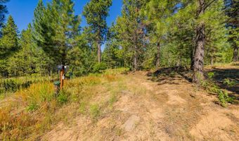 151 Timber Haven Pl, Cascade, ID 83638