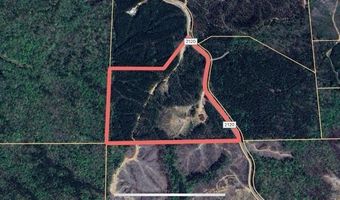 237 Co Rd 2120, Booneville, MS 38829