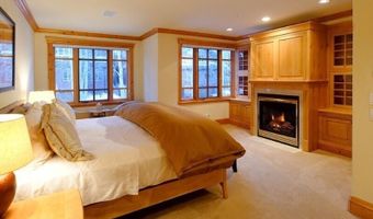 835 E Cooper Ave 4, Aspen, CO 81611