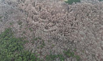 Cr 127, Abbeville, MS 38601