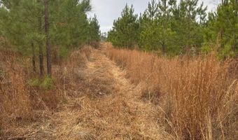 Qbf 12 Nurnberg Dr Road Qbf 12, Batesburg Leesville, SC 29070