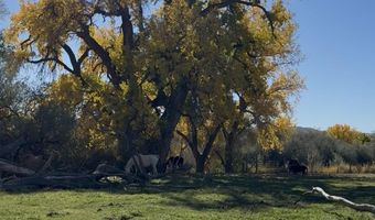 ROAD 4599, Blanco, NM 87412