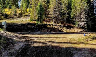 201 Tripod Vw, Cascade, ID 83611