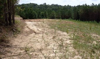 Adams Road, Bankston, AL 35542