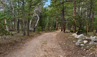 County Road 84 W, Allenspark, CO 80510