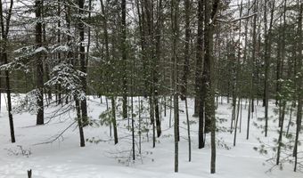 VL Wilderness Circle, Alger, MI 48610