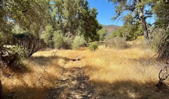 41902 Woodward Way, Ahwahnee, CA 93601