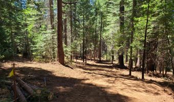 829 Honey Ct, Arnold, CA 95223