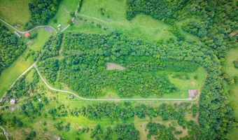 1570 Carl Doty Rd, Afton, TN 37616