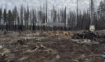 1100 Yellow Pine Rd, Bly, OR 97622