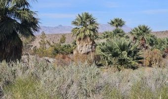 4855 Gold Butte Rd, Bunkerville, NV 89007