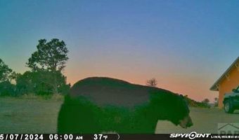 13045 Picketwire Rd, Boncarbo, CO 81024
