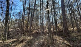 N Forty lot 2, Alexander City, AL 35010