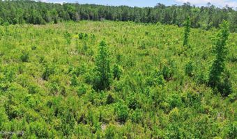 5840 Green Swamp Rd NW, Ash, NC 28420