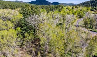 65 Pinestone Dr, Bayfield, CO 81122