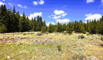 PCS # 10594 Looney Lane lot 0, Alma, CO 80420