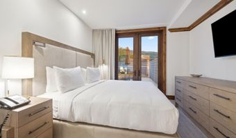 415 E Dean St Unit 46 Week 34, Aspen, CO 81611