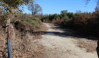 Highway 3, Blackville, SC 29817