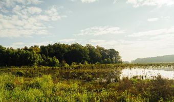 1037 Cr 300, Big Creek, MS 38914