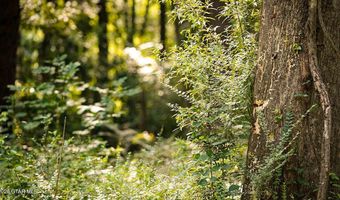 Cypress Pointe Drive lot 17, Brooksville, MS 39739