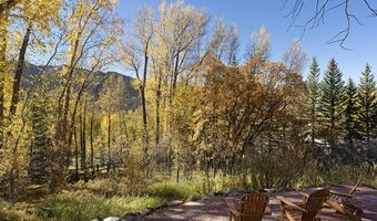 1036 Red Mountain Rd, Aspen, CO 81611