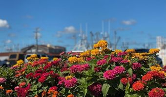 17 E 14TH St, Barnegat Light, NJ 08006