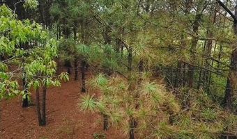 BRUSHY Ln, Arley, AL 35541