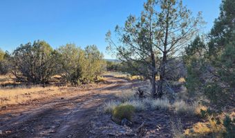 88- D Rose Ln, Ash Fork, AZ 86320