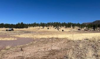 6 County Road 2331, Alpine, AZ 85920