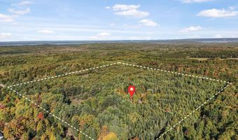 554 Westwood Rd NW, Alden, MI 49612